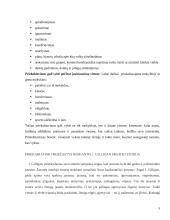 Priekabiavimo reiškinys tarp vaikų 3 puslapis