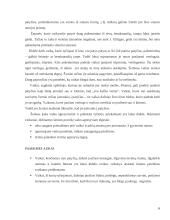 Priekabiavimo reiškinys tarp vaikų 4 puslapis