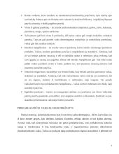 Priekabiavimo reiškinys tarp vaikų 5 puslapis