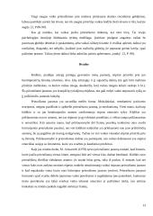 Prieraišumo jausmas vaikystėje 13 puslapis