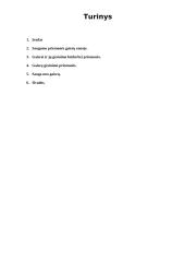 Saugumo priemonės gaisrų zonoje 2 puslapis