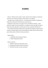 Saugumo priemonės gaisrų zonoje 3 puslapis