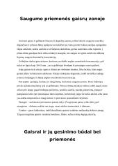 Saugumo priemonės gaisrų zonoje 4 puslapis