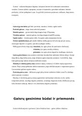 Saugumo priemonės gaisrų zonoje 5 puslapis