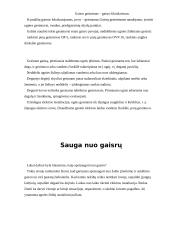 Saugumo priemonės gaisrų zonoje 6 puslapis