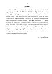Privatizacija 2 puslapis
