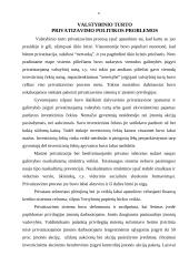 Privatizacija 11 puslapis