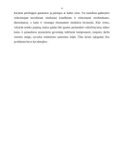 Privatizacija 13 puslapis