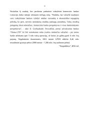 Privatizacija 19 puslapis
