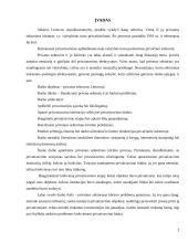 Privatus sektorius, jo kūrimo problemos 2 puslapis