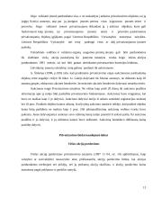 Privatus sektorius, jo kūrimo problemos 13 puslapis