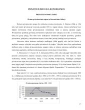 Privatus sektorius, jo kūrimo problemos 17 puslapis