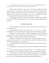 Privatus sektorius, jo kūrimo problemos 20 puslapis