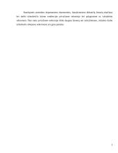 Privatus sektorius, jo kūrimo problemos 3 puslapis