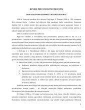 Privatus sektorius, jo kūrimo problemos 4 puslapis