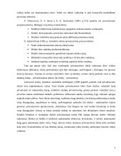 Privatus sektorius, jo kūrimo problemos 5 puslapis