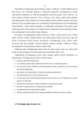 Privilegijuotosios akcijos 11 puslapis
