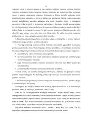 Privilegijuotosios akcijos 14 puslapis