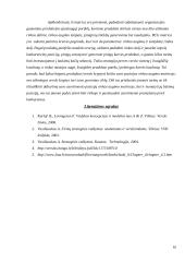 Produkcijos portfelio analizė 11 puslapis