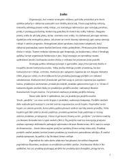 Produkcijos portfelio analizė 3 puslapis