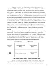 Produkcijos portfelio analizė 8 puslapis