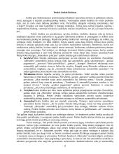 Produktas ir jo politika 11 puslapis