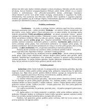 Produktas ir jo politika 12 puslapis