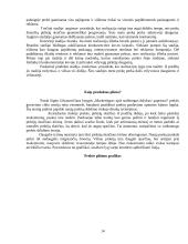 Produktas ir jo politika 14 puslapis