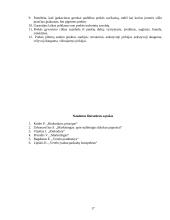 Produktas ir jo politika 17 puslapis