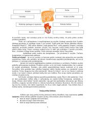 Produktas ir jo politika 5 puslapis