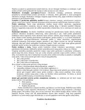 Produktas ir jo politika 8 puslapis