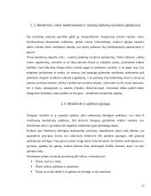 Profesinė mikro ir makro etika 12 puslapis