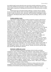 Profesinės reabilitacijos paslaugos 5 puslapis