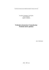 Profesinio konsultavimo darbo aplankas