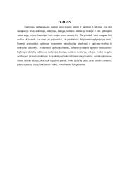 Profesinio konsultavimo darbo aplankas 3 puslapis