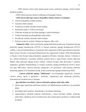 Profesinių sąjungų vaidmuo darbo rinkoje 13 puslapis