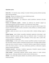 Profesinių sąjungų vaidmuo darbo rinkoje 5 puslapis