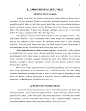 Profesinių sąjungų vaidmuo darbo rinkoje 6 puslapis