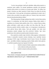Projekto eigos kontrolė 14 puslapis