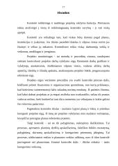 Projekto eigos kontrolė 17 puslapis