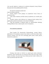 Projektorių aprašymas 12 puslapis