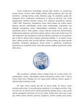 Projektorių aprašymas 13 puslapis