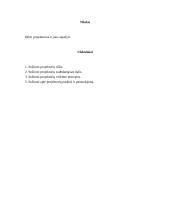 Projektorių aprašymas 4 puslapis