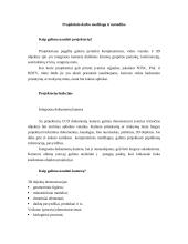 Projektorių aprašymas 5 puslapis