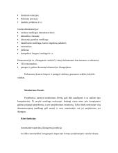 Projektorių aprašymas 6 puslapis