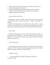 Projektorių aprašymas 7 puslapis