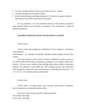 Projektorių aprašymas 8 puslapis