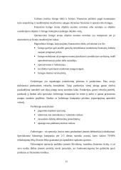 Projektų rizika: AB "Stumbras" 11 puslapis