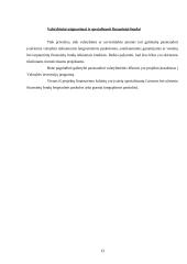 Projektų rizika: AB "Stumbras" 12 puslapis