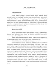 Projektų rizika: AB "Stumbras" 13 puslapis